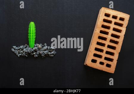 Brique rouge et petit cactus dans le gravier. Une brique sur le cactus en caoutchouc noir et vert dans un tas de décombres. Concept de bande dessinée. Pose plate. Banque D'Images