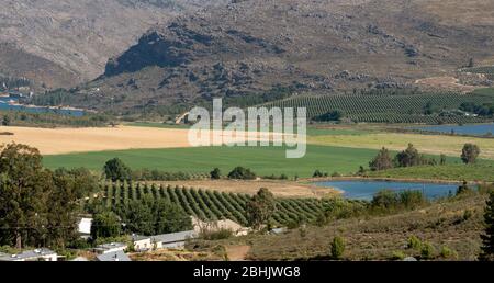 Ceres, Swartland, Afrique du Sud 2019. Zone de production de fruits et de blé du Swartland près de Ceres. Banque D'Images