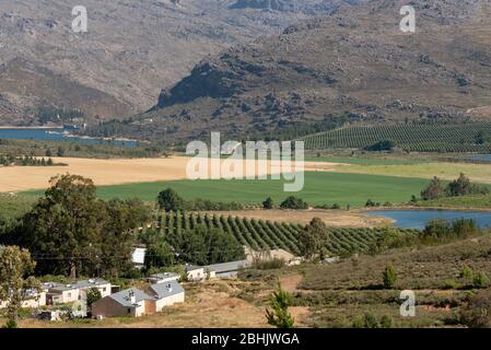 Ceres, Swartland, Afrique du Sud 2019. Zone de production de fruits et de blé du Swartland près de Ceres. Banque D'Images