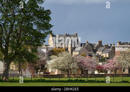 Forres Town, Moray, Royaume-Uni. 26 avril 2020. ROYAUME-UNI. Cette vue est vue du quartier de Sanquhar de Forres au centre-ville et montre les couleurs du printemps arrivant. Crédit: JASPERIMAGE/Alay Live News Banque D'Images