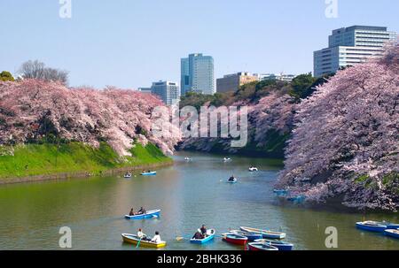 TOKYO JAPON - 30 MARS 2015 : Chidorigaluchi est une maloise située au nord-ouest du Palais impérial, avec des fleurs reflétées dans l'eau de la mao Banque D'Images