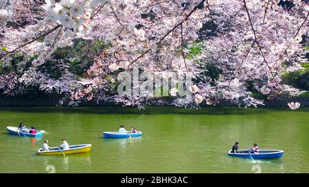 TOKYO JAPON - 30 MARS 2015 : Chidorigaluchi est une maloise située au nord-ouest du Palais impérial, avec des fleurs reflétées dans l'eau de la mao Banque D'Images