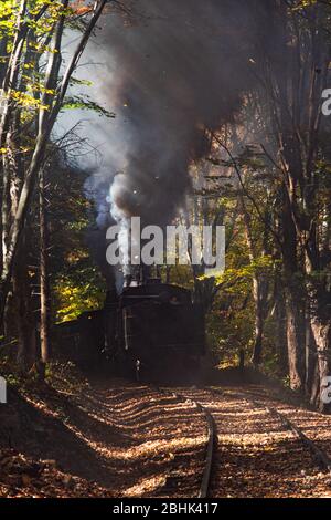 Poutres lumineuses à travers la voûte forestière pour éclairer la grande panache de fumée provenant du moteur à vapeur qui s'est refluée dans l'arrière-plan près de Cass, West Virg Banque D'Images