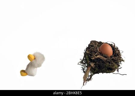 Un poussin de jouet doux qui sautait d'un nid d'oiseaux réel contenant un oeuf de poulet sur un fond blanc. Concept; fuite du nid, départ de la maison. Banque D'Images