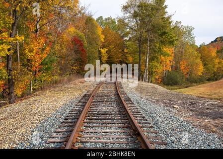 Des couleurs d'automne époustouflantes le long d'une ligne ferroviaire déserte au coucher du soleil Banque D'Images