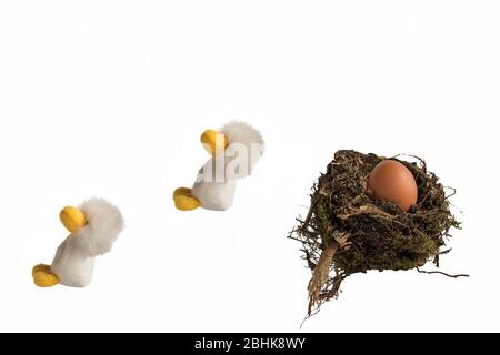 Deux poussins en peluche sautant d'un nid d'oiseaux réel contenant un œuf de poulet sur fond blanc. Concept; fuite du nid, départ de la maison. Banque D'Images