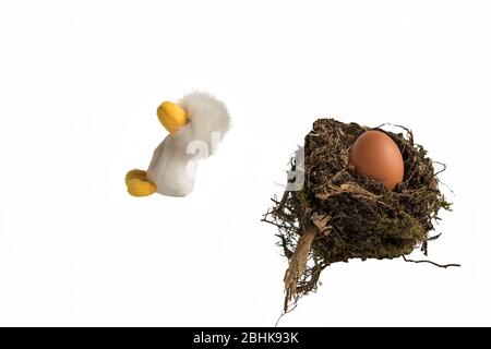 Un poussin de jouet doux qui sautait d'un nid d'oiseaux réel contenant un oeuf de poulet sur un fond blanc. Concept; fuite du nid, départ de la maison. Banque D'Images