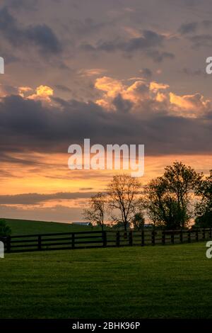 Lever du soleil sur les terrains de Keeneland au début de l'été Banque D'Images