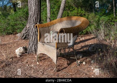 Chaise en osier abandonnée au milieu d'une forêt, au coucher du soleil Banque D'Images