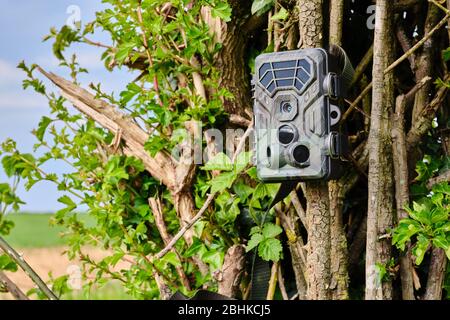 Caméra ou caméra de piste configurée sur un hedgerow dans un champ pour surveiller l'activité de la faune et assurer la sécurité de CCTV Banque D'Images