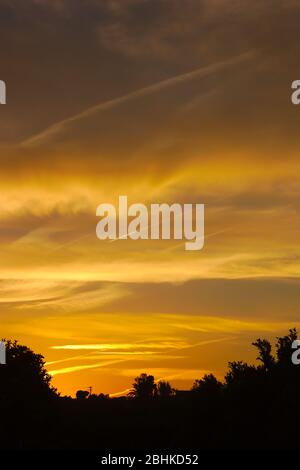 Image verticale d'un coucher de soleil avec des nuages qui génèrent des couleurs orange et une silhouette noire de certains arbres à la base de la photo Banque D'Images