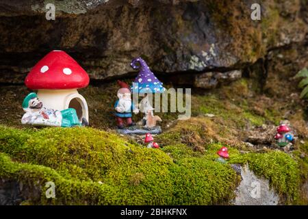 Jouet nain maison magique de champignons cachés dans les roches de la forêt Banque D'Images