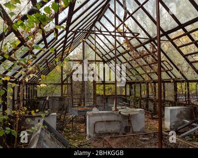 Délabres et abandon de la serre dans la ville fantôme de Pripyat. Zone d'exclusion de Tchernobyl. Ukraine Banque D'Images