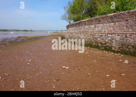 River exe à Topsham, vue avec Goat Walk, Topsham, Devon, Angleterre, Royaume-Uni Banque D'Images