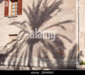 Ombre d'un palmier projetée sur un bâtiment historique au coucher du soleil Banque D'Images