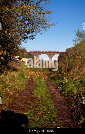 2 train ferroviaire du nord 142 trains paper traversant le viaduc de Wetheral , sur la ligne de la vallée de Tyne avec des feuilles d'automne Banque D'Images