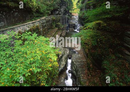 Upper gorge, Robert H Treman State Park, New York Banque D'Images