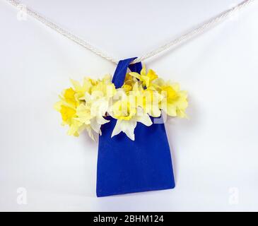 jonquilles à ressort dans un sac bleu accroché sur une corde blanche Banque D'Images