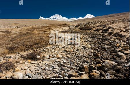 Les prairies montagnardes du camp de base de Shishapagma, Tibet Banque D'Images