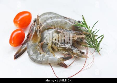 crevettes à la crevette crue avec ingrédients tomate aux herbes romarin / crevettes fraîches sur fond blanc Banque D'Images