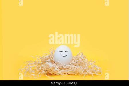 Joli œuf de Pâques blanc avec un marqueur noir dessiné face dans un nid de papier fait de papier pressé sur un fond jaune clair Banque D'Images