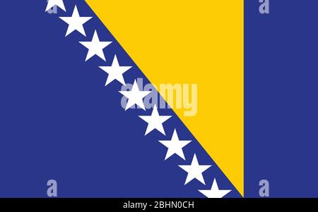 Graphique vectoriel du drapeau de Bosnie-Herzégovine. Illustration du drapeau bosniaque rectangulaire. Le drapeau de pays de Bosnie-Herzégovine est un symbole de liberté, de patriotie Illustration de Vecteur