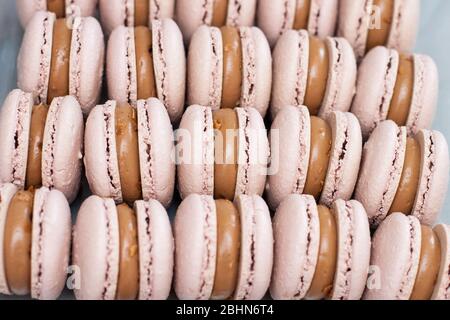 Vue rapprochée sur les macarons de chocolat français avec garniture de chocolat brillant. Mise au point sélective. Banque D'Images