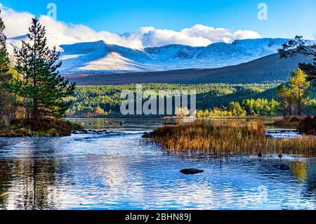 Cairngorms enneigés à Glenmore Speyside Highland Scotland UK vue du Loch Morlich en automne Banque D'Images