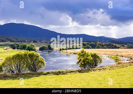 La rivière Spey entre Boat of Garten et Grantown on Spey dans les Highlands en Écosse est inondé après de fortes pluies à l'automne Banque D'Images