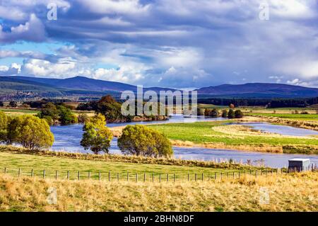 La rivière Spey entre Boat of Garten et Grantown on Spey dans les Highlands en Écosse est inondé après de fortes pluies à l'automne Banque D'Images