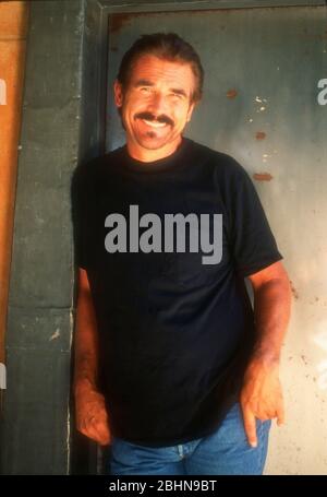 Los Angeles, Californie, États-Unis 12 septembre 1995 (exclusif) l'acteur James Brolin pose lors d'une séance photo exclusive le 12 septembre 1995 à Los Angeles, Californie, États-Unis. Photo de Barry King/Alay stock photo Banque D'Images