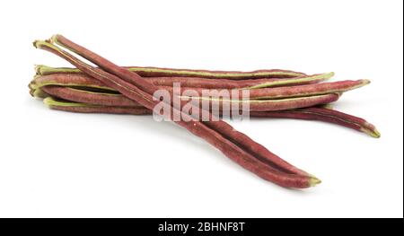 Haricot violet isolé sur fond blanc Banque D'Images