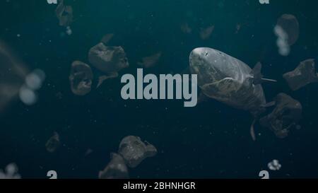 Pollution plastique, requin du Groenland entouré de déchets dangereux Banque D'Images