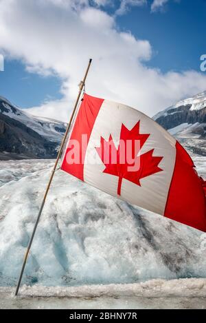 Drapeau canadien sur le glacier Athabasca en Columbia Icefield, parc national Jasper, montagnes Rocheuses, Alberta, Canada Banque D'Images