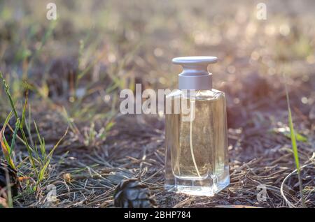 Une bouteille de parfum se tient sur le sol entre cônes et aiguilles. Bouteille rectangulaire en verre sur le sol dans la forêt du matin. Produits de parfumerie. Fermer Banque D'Images