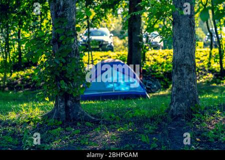 Tente bleue dans une forêt de camping Banque D'Images