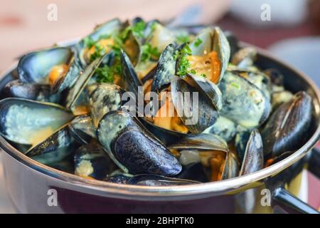 Moules dans une casserole avec curry de sauce Banque D'Images