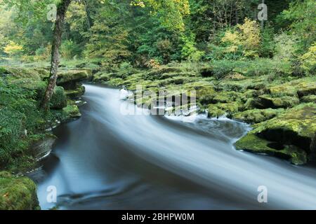 Le Strid sur la rivière Wharfe à Wharfedale, dans le Yorkshire du Nord Banque D'Images