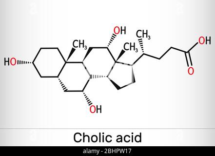 Acide cholique, molécule de Ca 24 H 40. C'est l'acide biliaire primaire principal produit dans le foie. Supplément nutritionnel E 1000. Formule chimique structurelle. Vecto Illustration de Vecteur