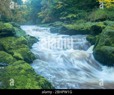 Le Strid sur la rivière Wharfe à Wharfedale, dans le Yorkshire du Nord Banque D'Images