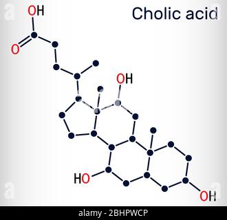 Acide cholique, molécule de Ca 24 H 40. C'est l'acide biliaire primaire principal produit dans le foie. Supplément nutritionnel E 1000. Formule chimique structurelle. Vecto Illustration de Vecteur