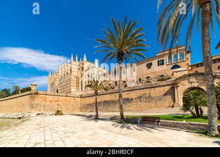 Célèbre cathédrale Santa Maria sous le ciel blues vu du Parc de la Mar à Palma, en Espagne. Banque D'Images