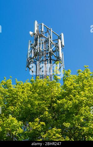 Mât de téléphone mobile partiellement masqué par des arbres dans la campagne. Beaucoup Hadham, Hertfordshire. ROYAUME-UNI Banque D'Images