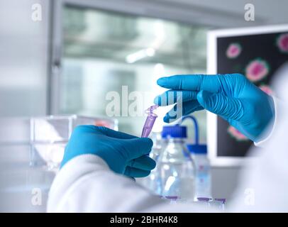 Recherche pharmaceutique, scientifique préparant un flacon d'échantillon pour les tests analytiques en laboratoire utilisé dans la recherche sur l'ADN, la médecine et la pharmacologie. Banque D'Images