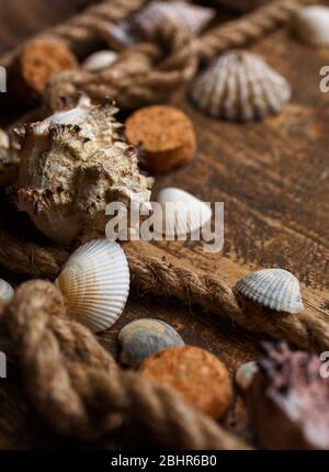 Plusieurs coquillages et corde d'amarrage sur fond en bois. Gros plan, sélection de la mise au point. Banque D'Images