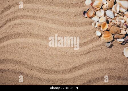 Vue de dessus de fond de sable avec dunes et coquillages Banque D'Images