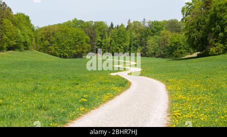 Longue route sinueuse menant du spectateur dans les bois. Chemin en zigzag avec pré vert. Concept pour l'espoir, inconnu, curiosité, voyage. Banque D'Images