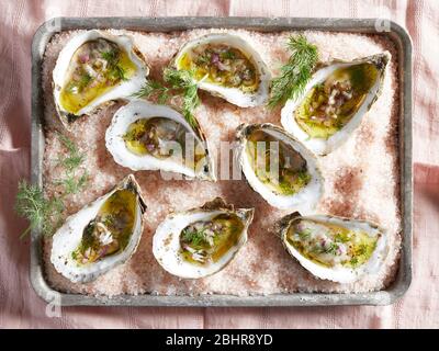 Vue aérienne des huîtres dans leurs coquilles avec aneth et vinaigrette sur un plateau de sel rosé. Banque D'Images