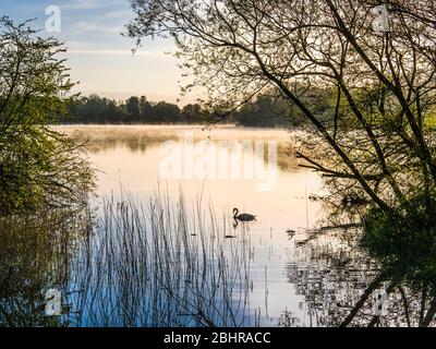 Pontons de pêche à Coate Water à Swindon. Banque D'Images