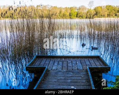 Pontons de pêche à Coate Water à Swindon. Banque D'Images